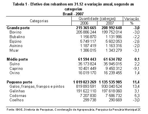 MT possui o maior rebanho bovino do país pelo sexto ano