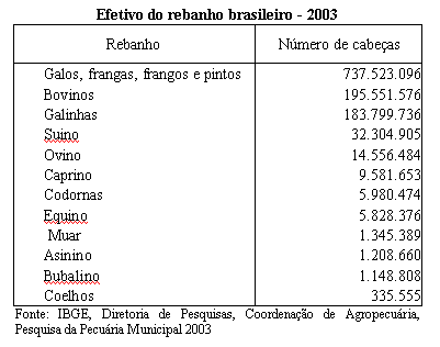 MT possui o maior rebanho bovino do país pelo sexto ano